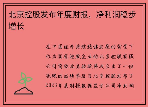 北京控股发布年度财报，净利润稳步增长